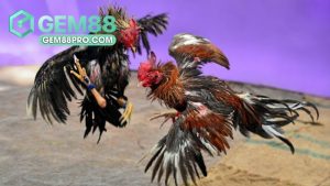 Gem88 Juglapp - Đăng Ký Gem88 Ngay Nhận Trọn Bộ Ưu Đãi Tân Thủ - Luckymoro68